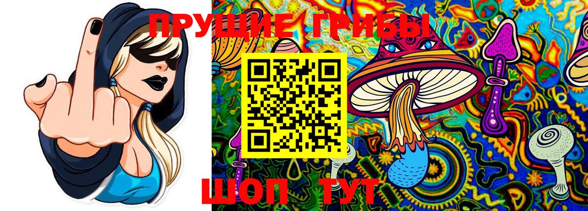 Псилоцибиновые грибы мицелий  Вход с VPN  Партизанск 